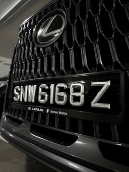 [3D Popout] 3D Silver Chrome Car Plates