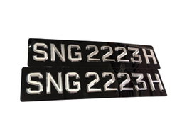 [3D Popout] 3D Silver Chrome Car Plates