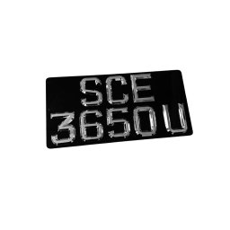 [3D Popout] 3D Polished / Mirror Chrome Car Plates 