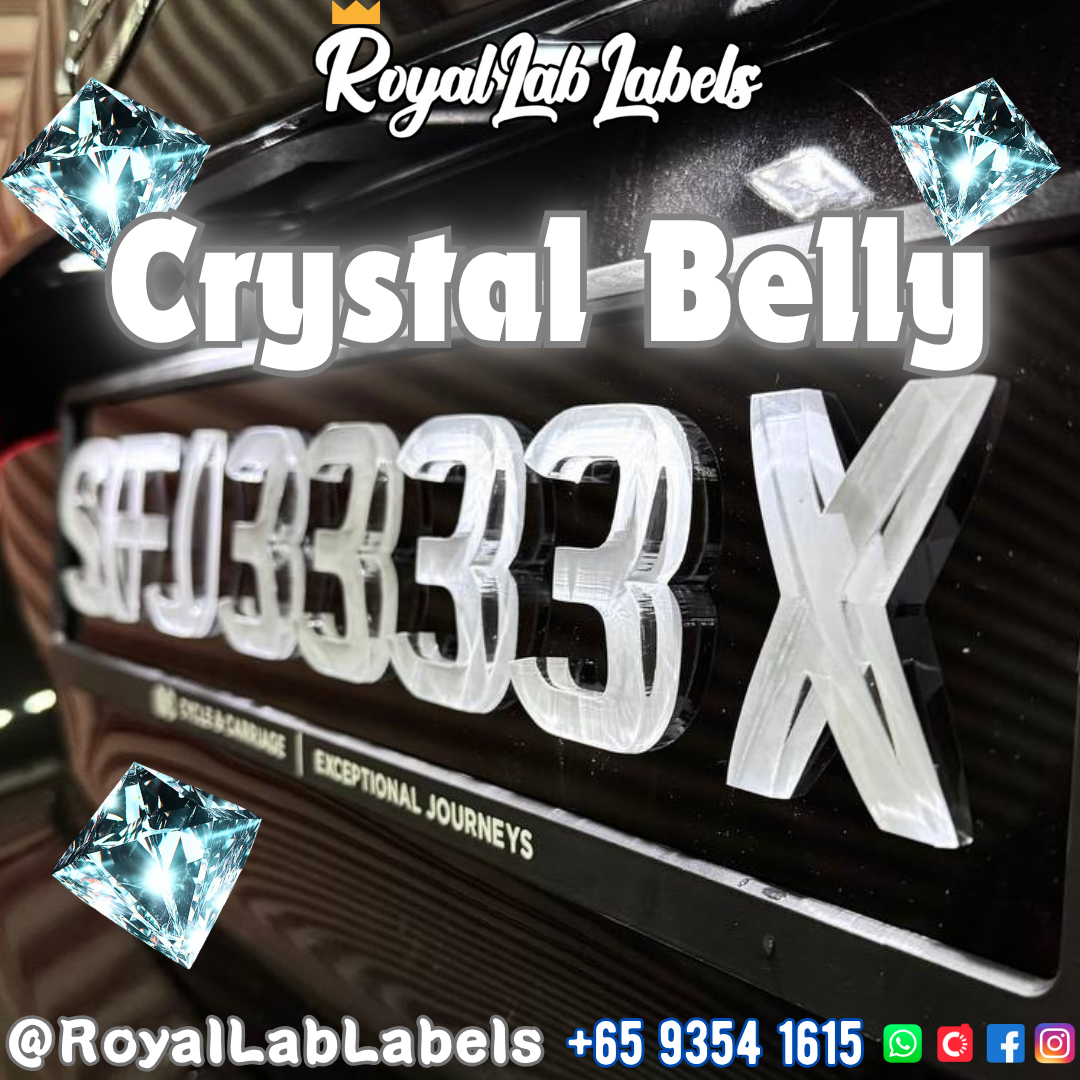 💎 4D Crystal Pot Belly Car License Plates_0