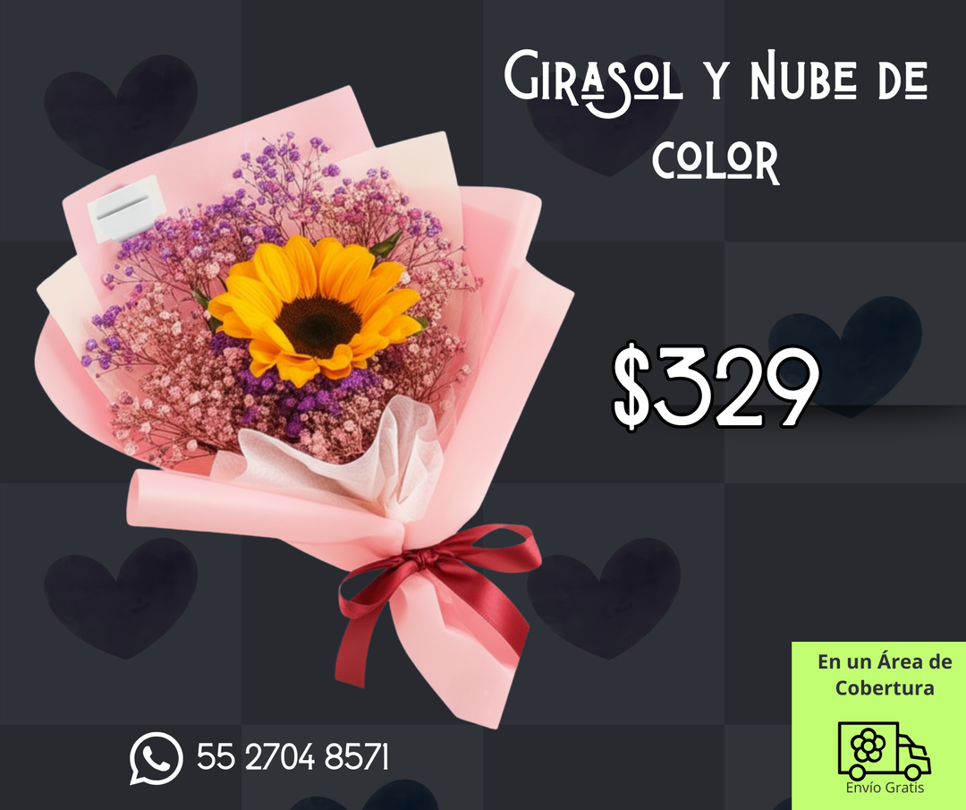 Girasol y nube de color