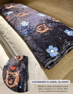Flannel Blankie (120*80)
