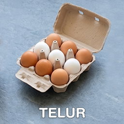 Telur