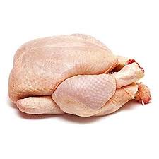 Chicken_0