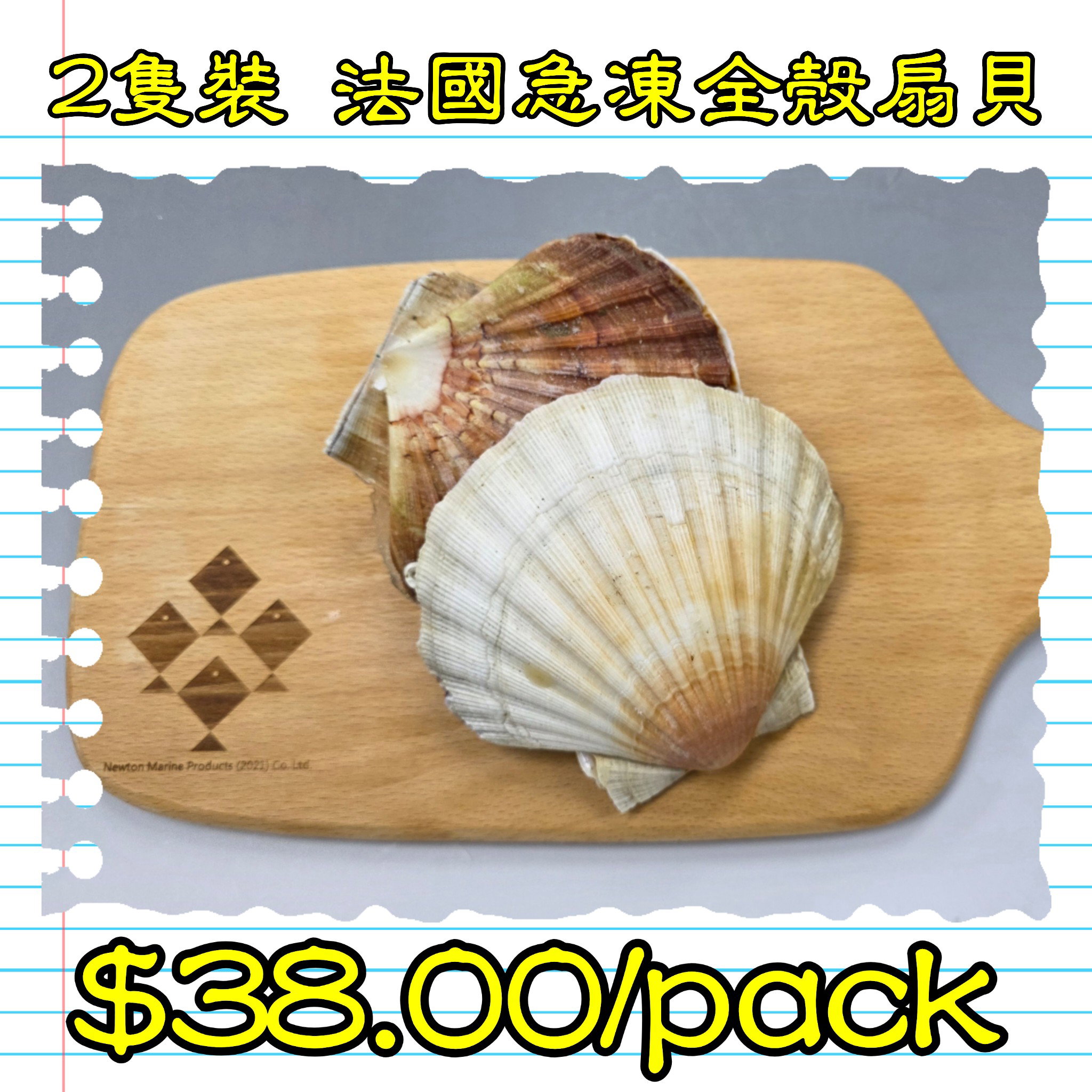2隻裝 法國急凍全殼扇貝_1