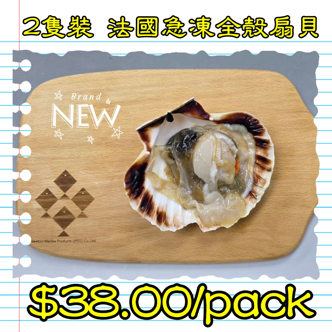2隻裝 法國急凍全殼扇貝