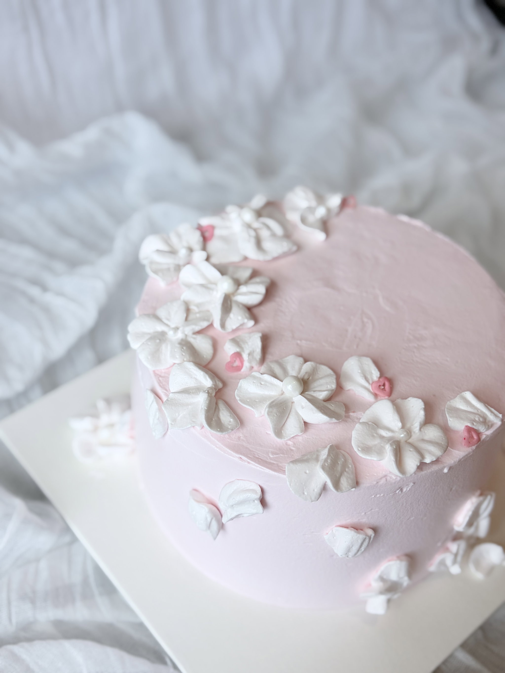 Strawberry Rose Cloud_1