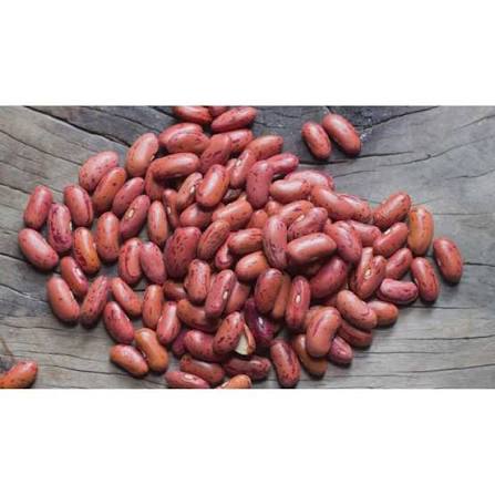 Rajma 1kg