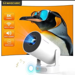 Projectors and Accessories 