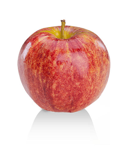 Pommes Gala_0