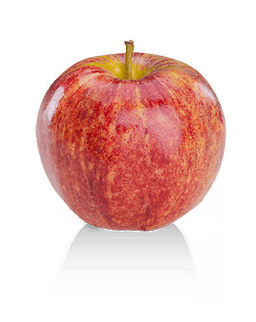 Pommes Gala