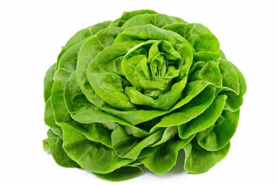 Salade_0