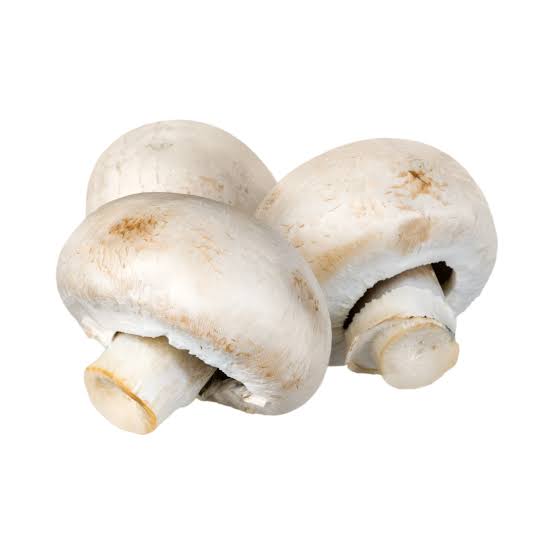 Champignons_0