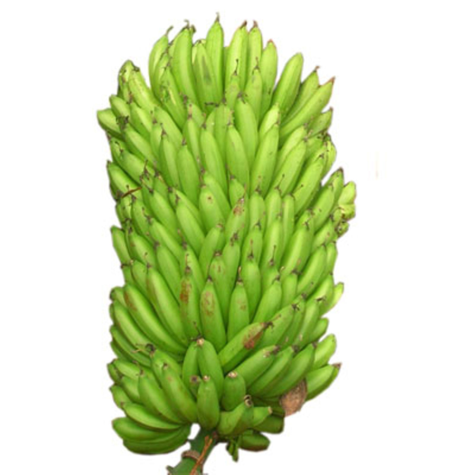 Matooke_1