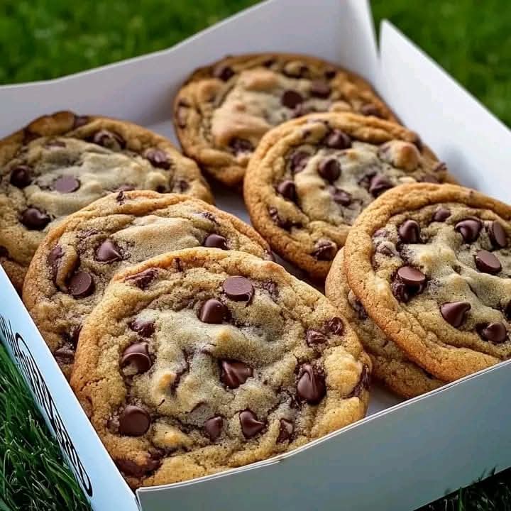 Chocolate Chip Cookies (Per Dozen)_1