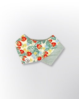 Strawbella Reversible Collar