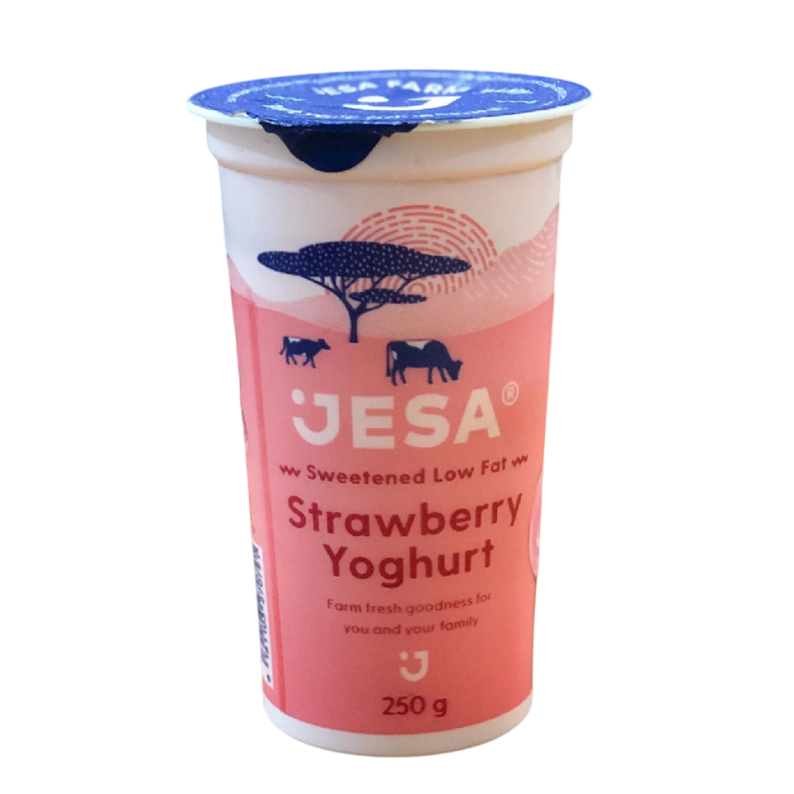 Yoghurt_2