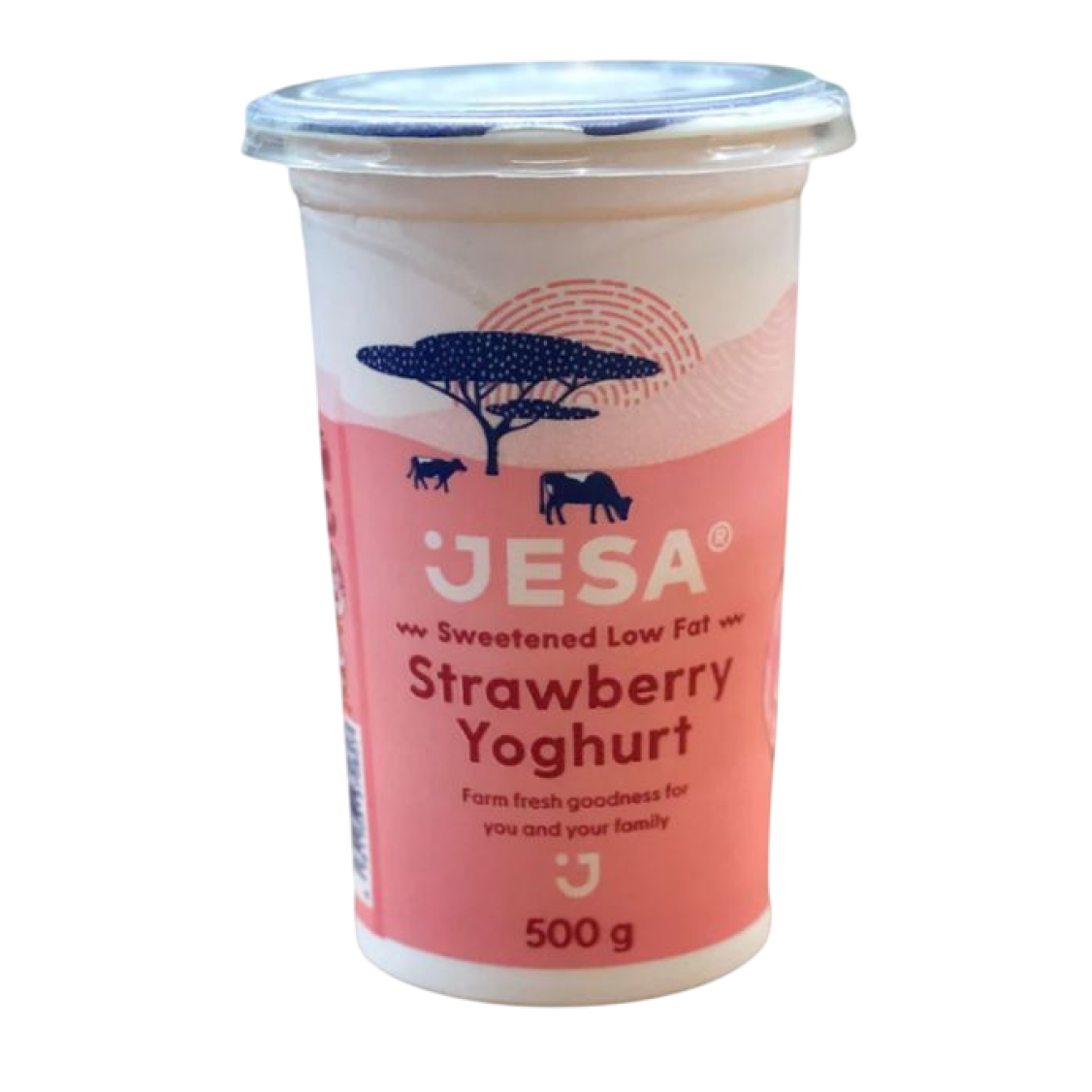 Yoghurt_3