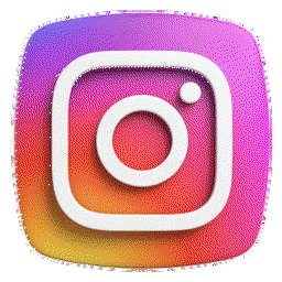 INSTAGRAM FOLLOWERS 