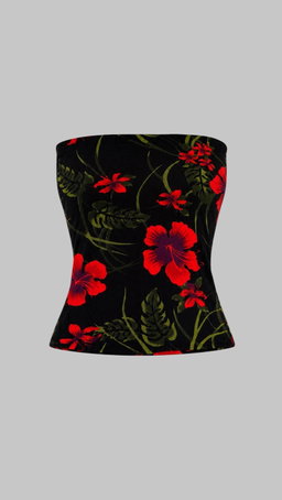 Skylar Bandeau Top 
