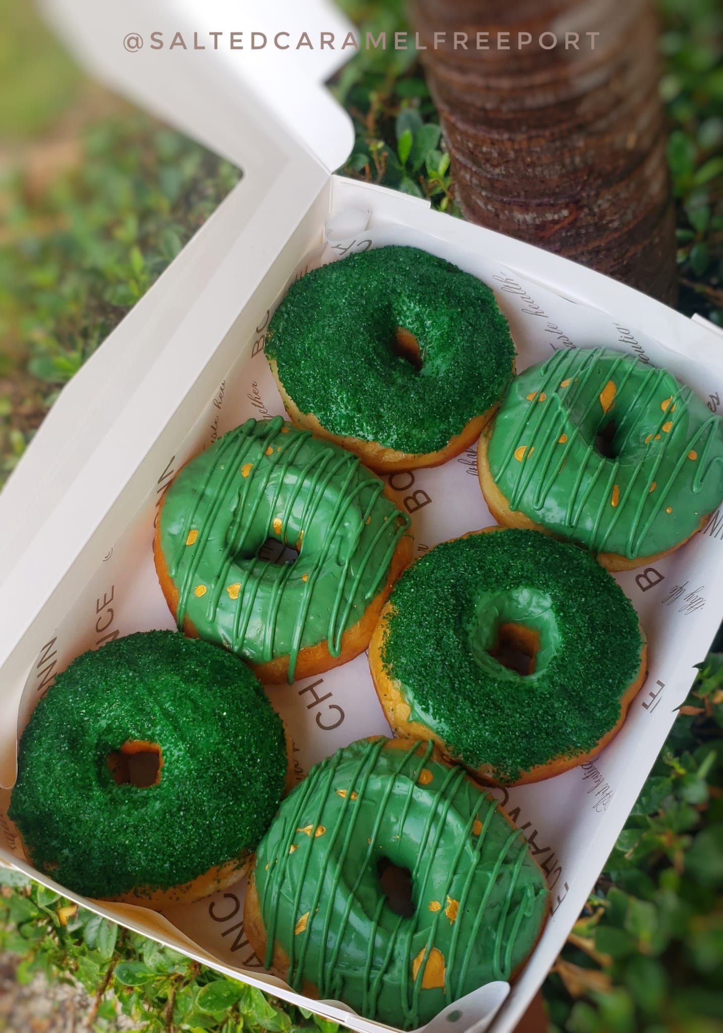 Chocolate Covered Donuts (1/2 Dozen)_0