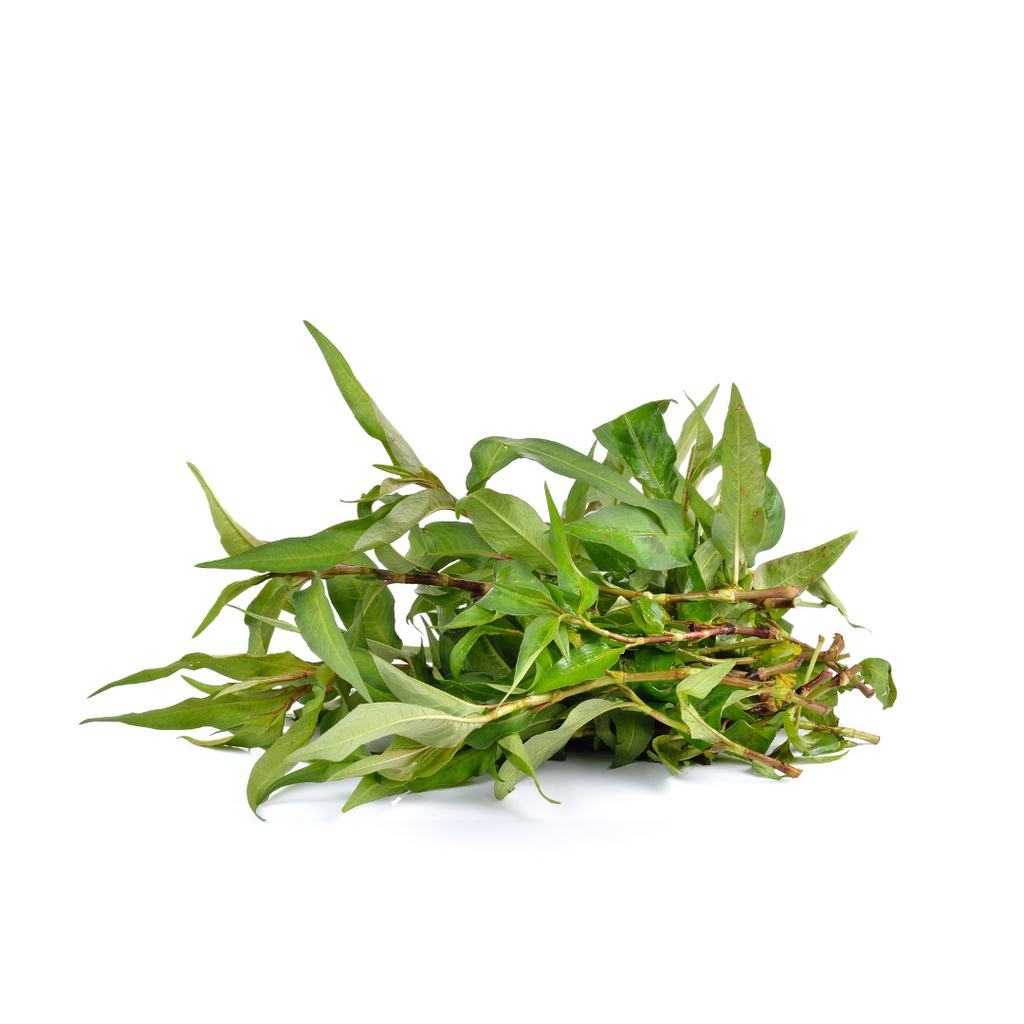 Vietnamese Mint ຜັກແພວ