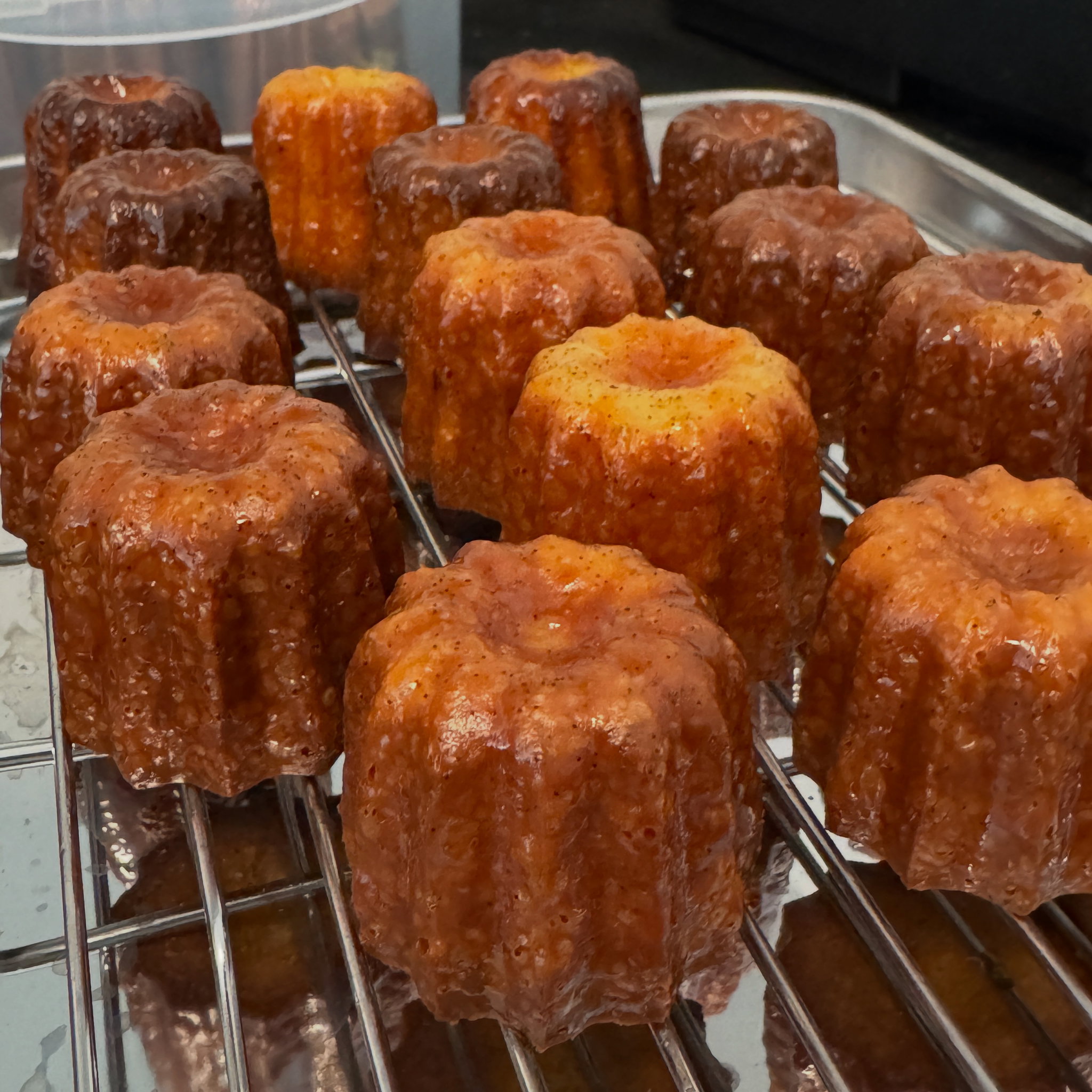 Caneles X6_1