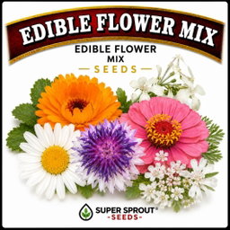 Ultimate salad combo seed pack x 5 packs