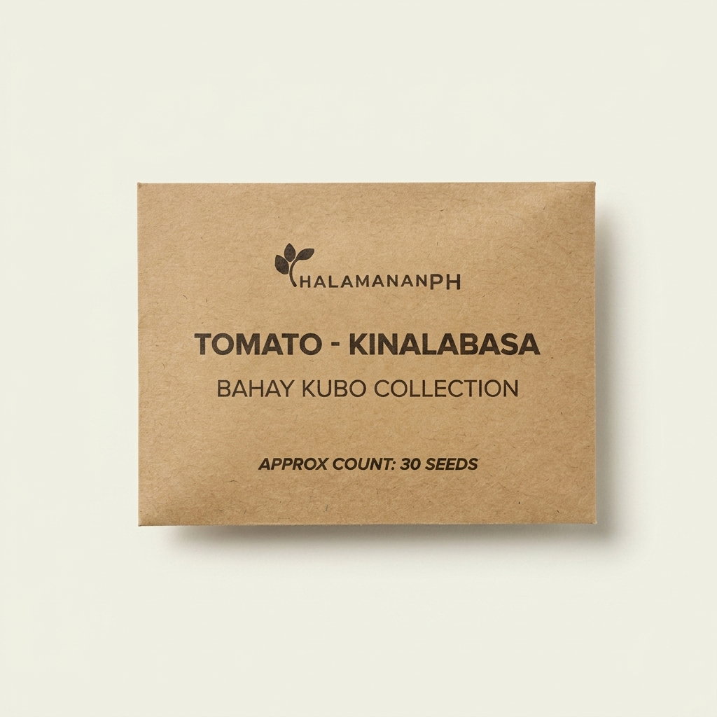 Tomato Kinalabasa 30 seeds_1