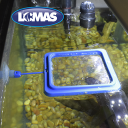 ANILLO DE ALIMENTACION P/PECES