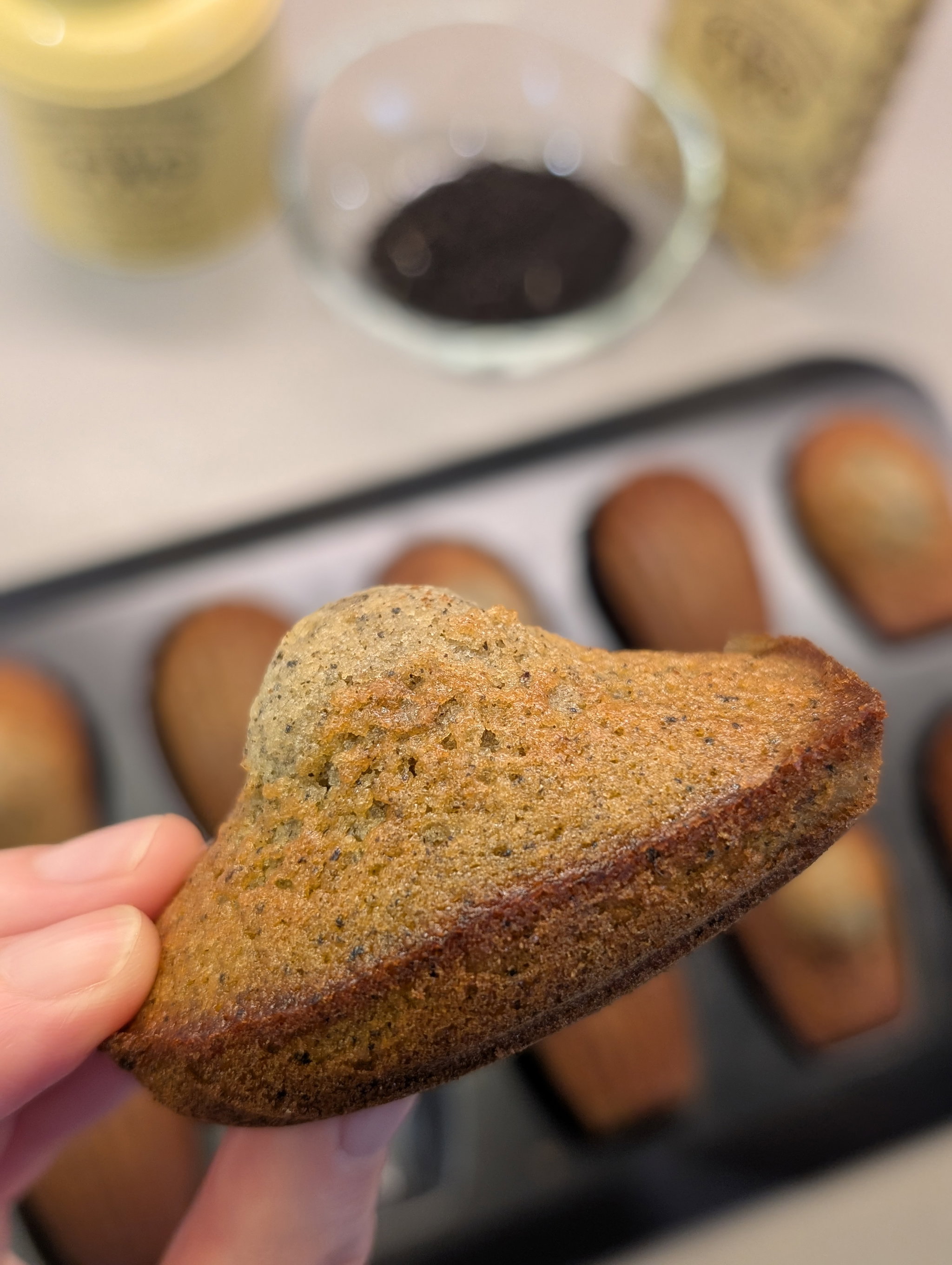 TWG Earl Grey Madeleines (box of 9)_1