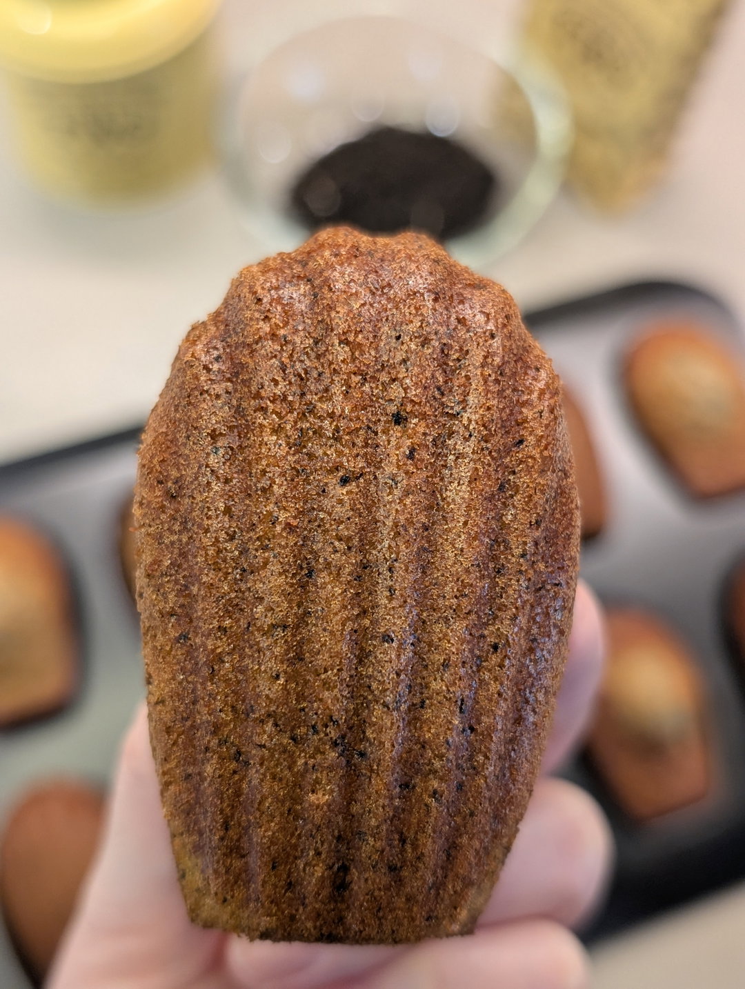 TWG Earl Grey Madeleines (box of 9)