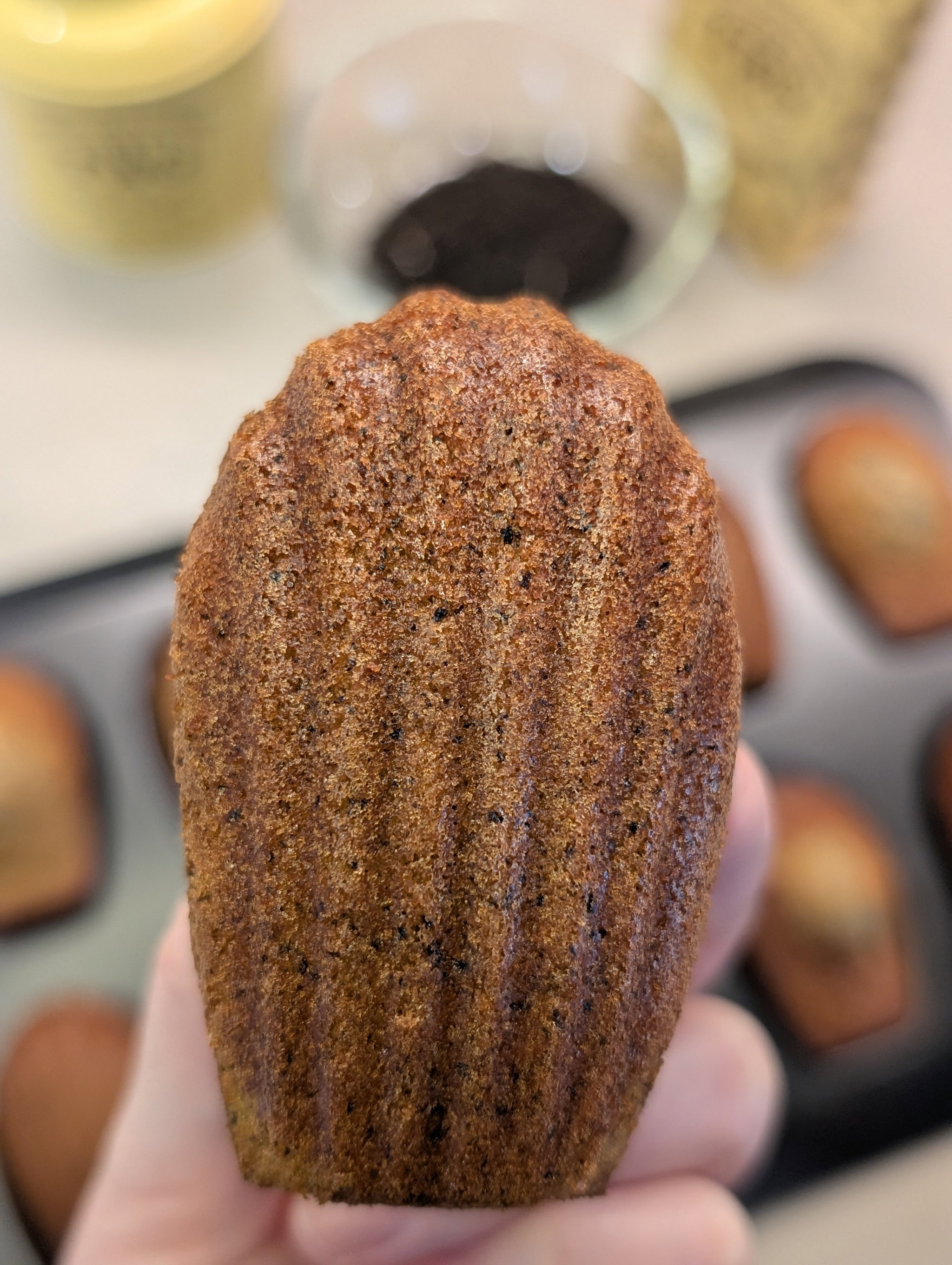 TWG Earl Grey Madeleines (box of 9)_0