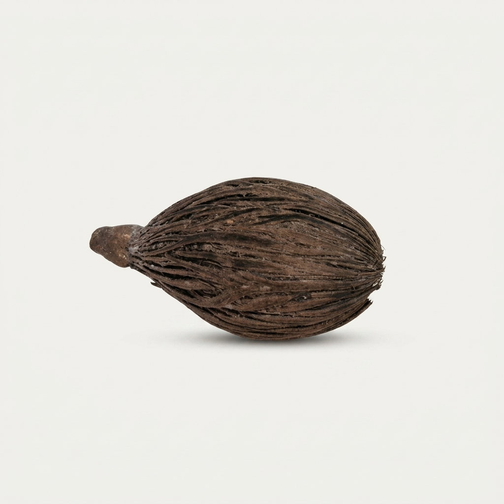 GMS 1 Kann Coconut / Laghu Nariyal_2