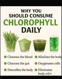 About  CHLORELLA  ORGANIC product 