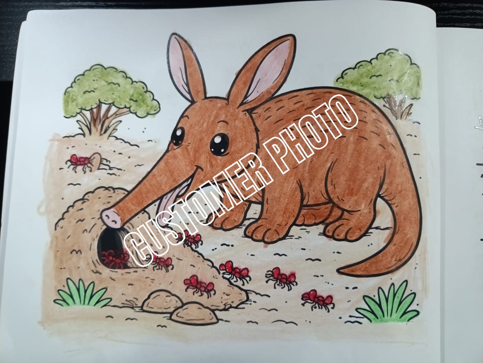 Wild Wonders Animal Facts Colouring Book_2