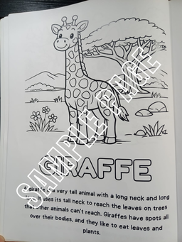 Wild Wonders Animal Facts Colouring Book