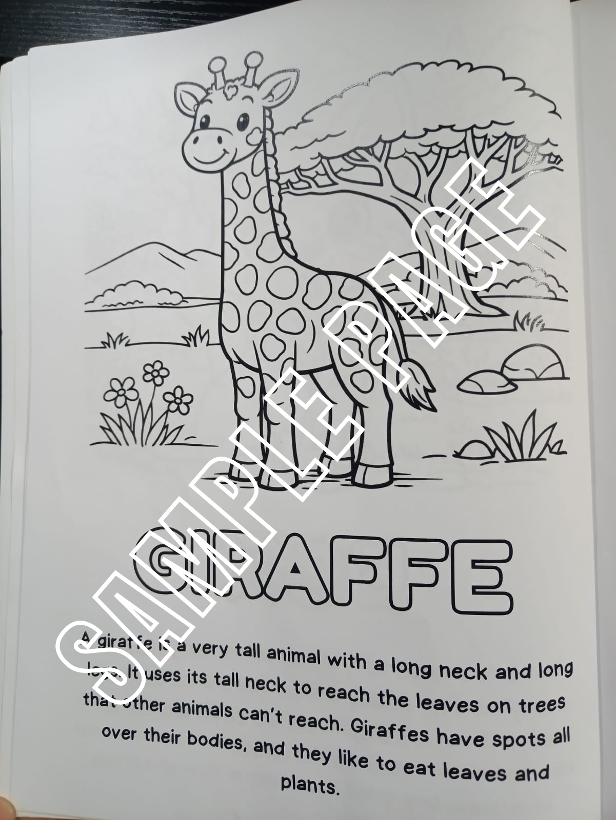 Wild Wonders Animal Facts Colouring Book_3