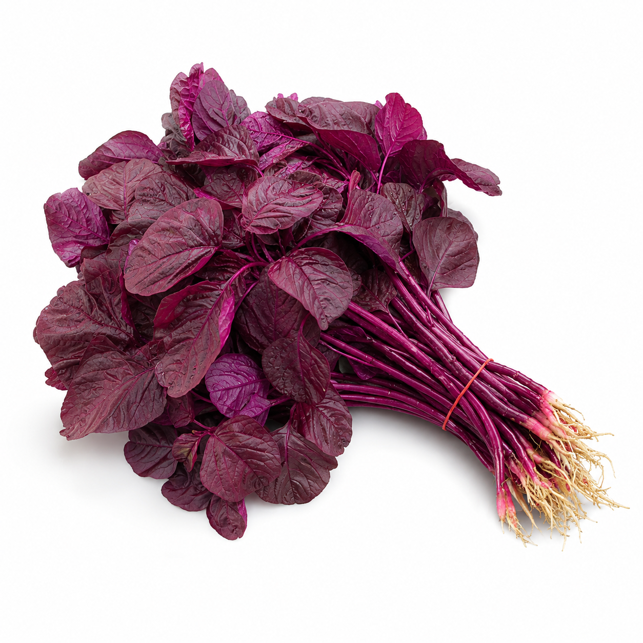 Red Amaranth Leaves_0