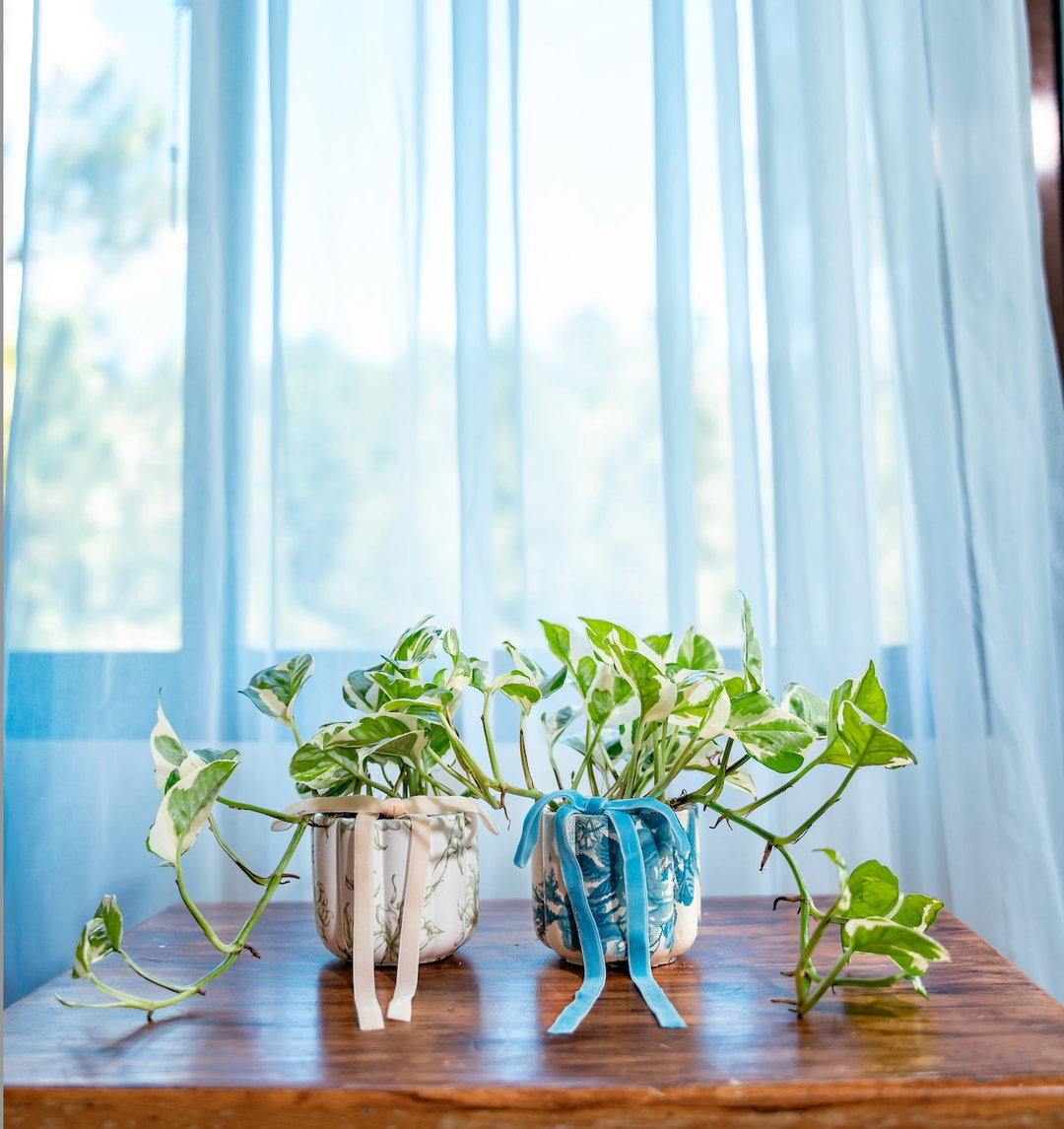 Pothos n-joy - Arreglo Flora Decoupage