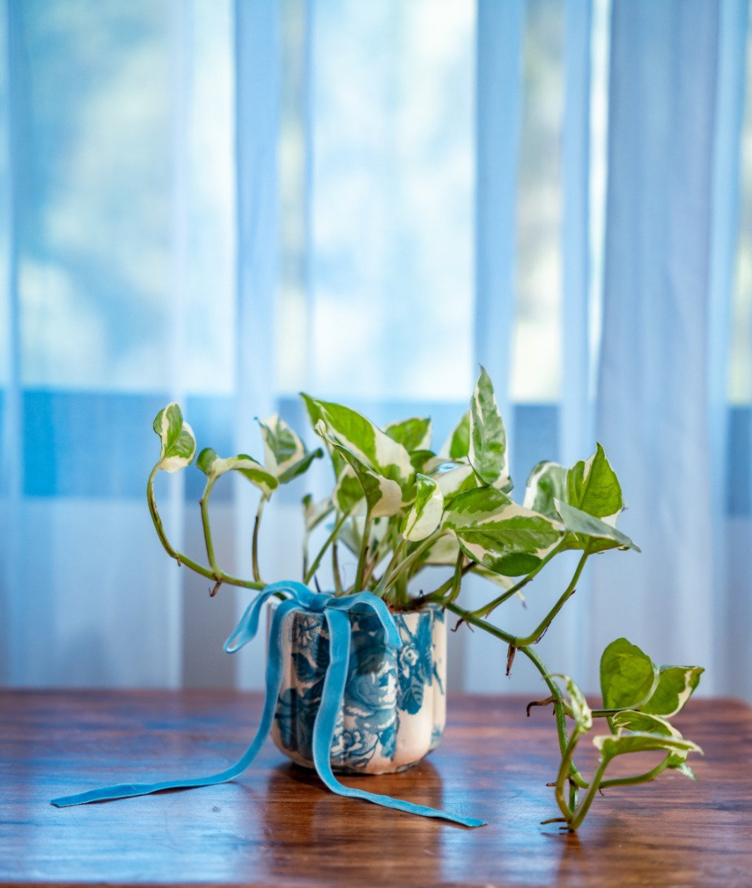 Pothos n-joy - Arreglo Flora Decoupage_1