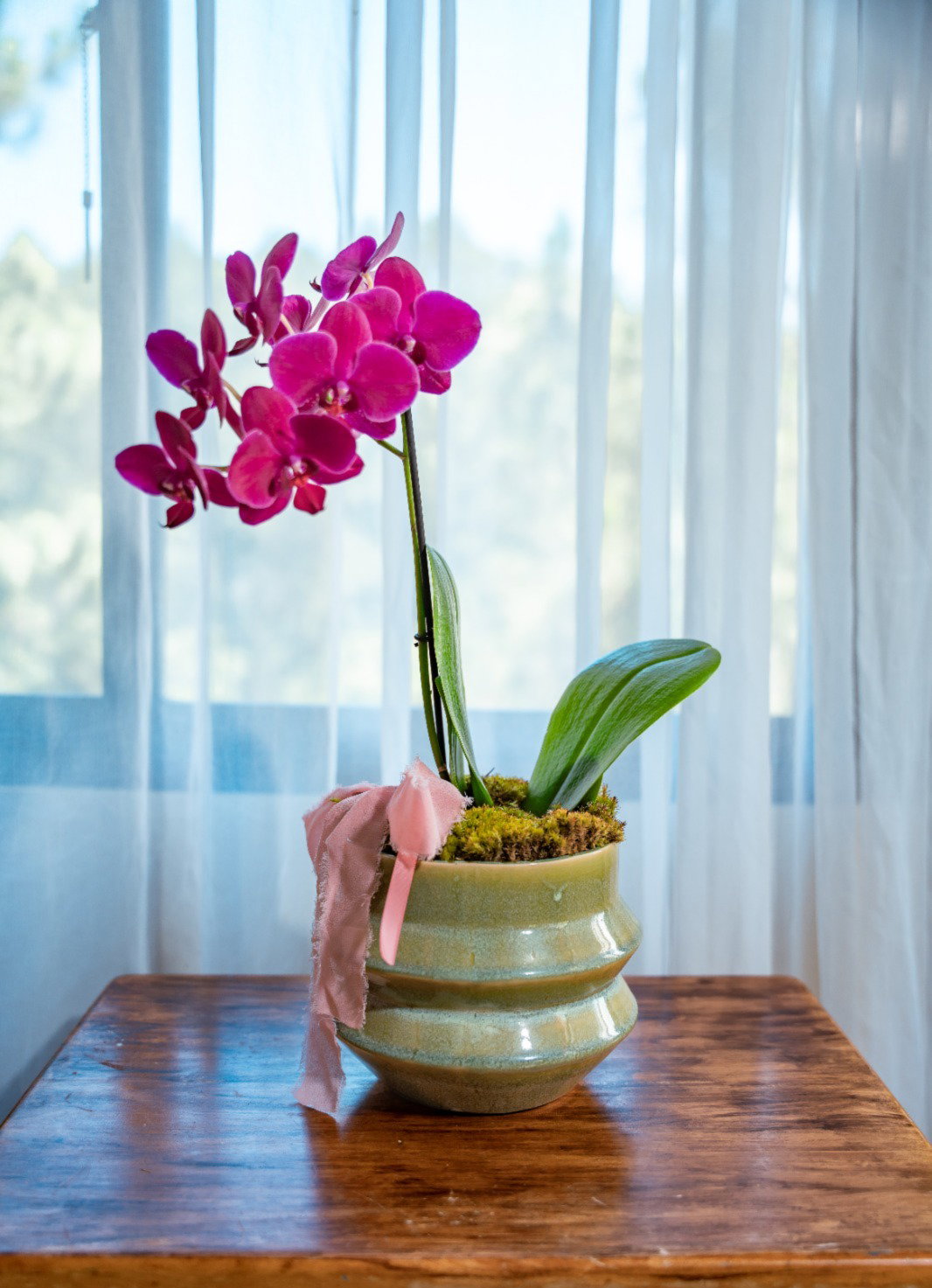 Orquídea Grande - Arreglo_2