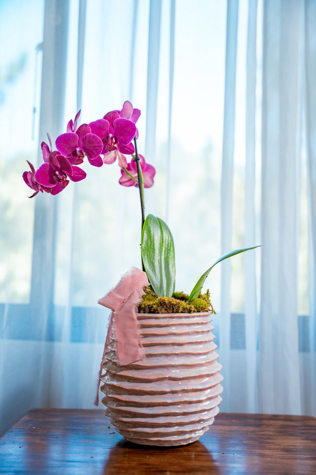 Orquídea Grande - Arreglo