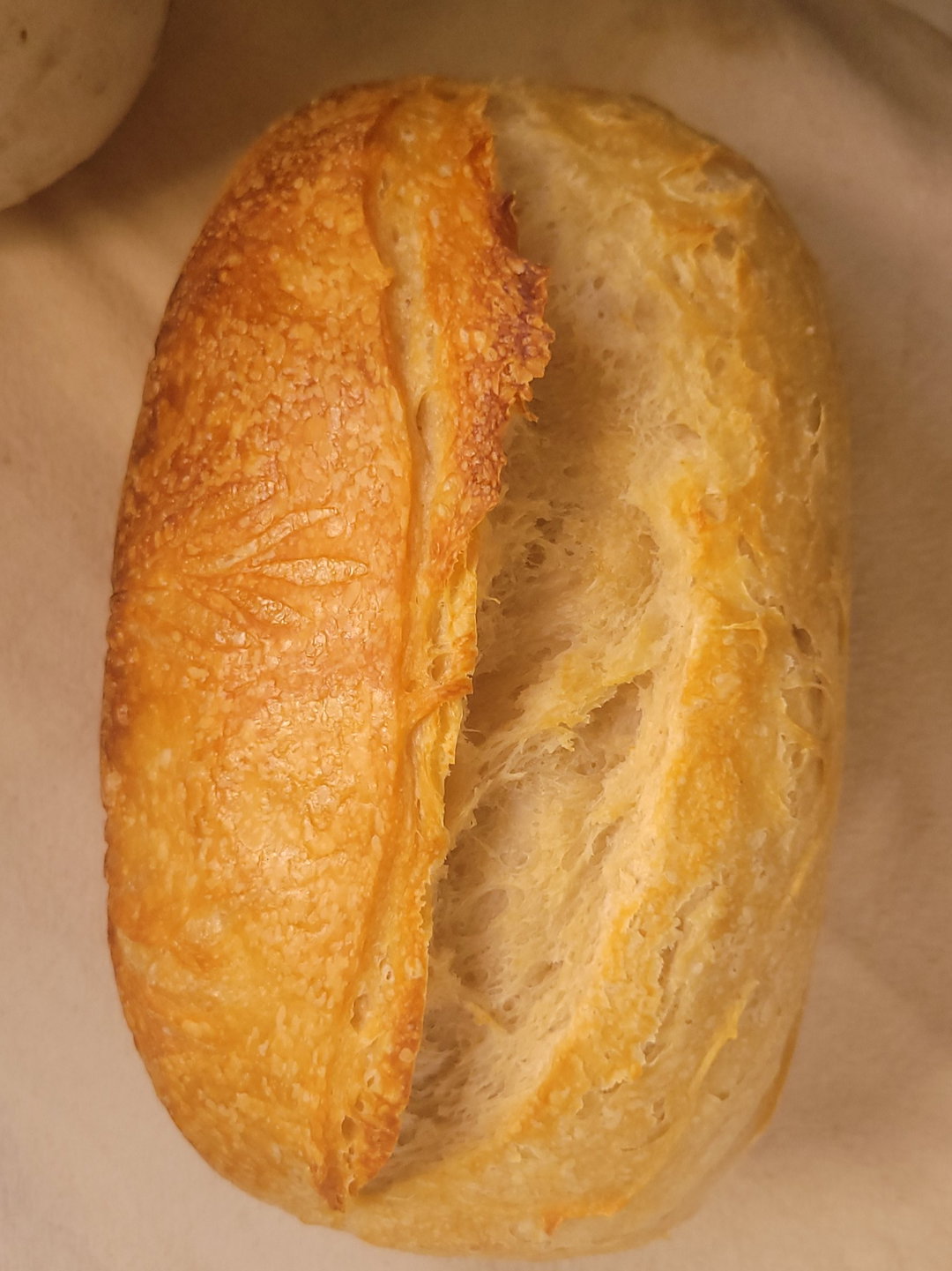 Organic Classic Sourdough loaf