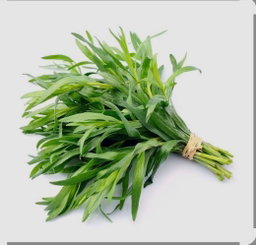 Tarragon 