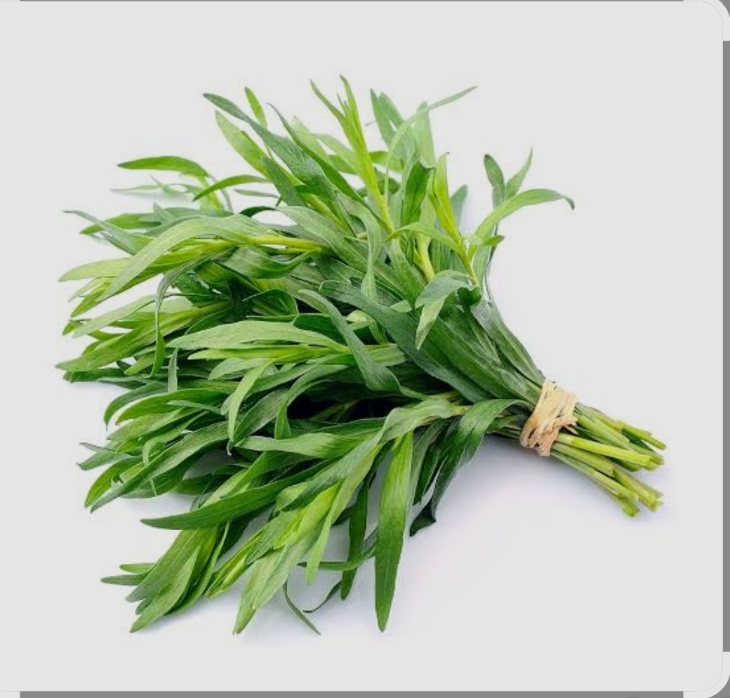 Tarragon