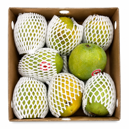 مانجو ألفونسو – إندونيسيا (1.8 كجم) / Alphonso Mango – Indonesia (1.8kg)