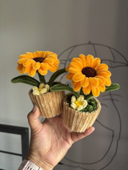Sunflower pot