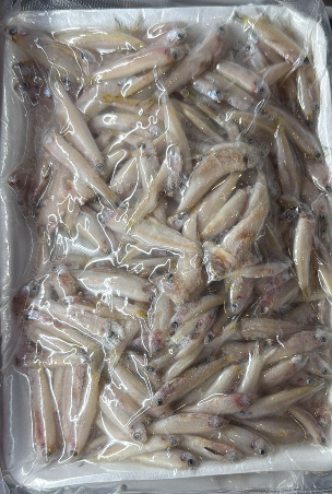 Keski Tray