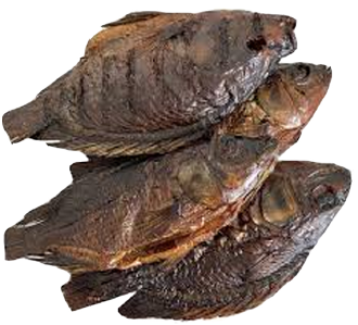 Smoke Telapia_0
